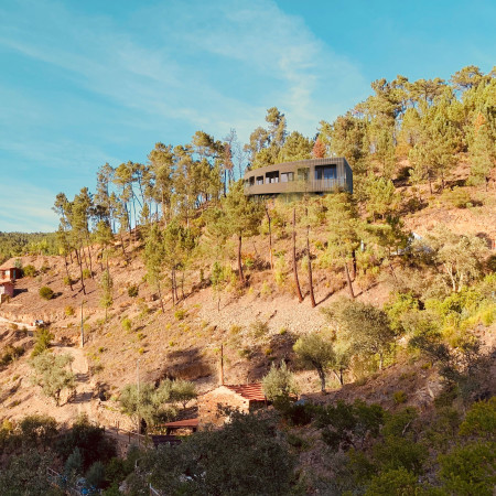 Curvilinear Design Featuring Locally Sourced Timber and Expansive Glass for a Wellness Retreat