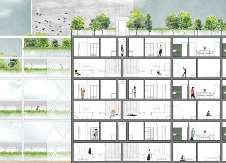 Cross-Laminated Timber Structures Intertwined With Green Roofs in Urban Living Spaces