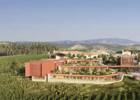 Charred Wooden Shingles and Local Stone Form a Harmonious Vineyard Retreat