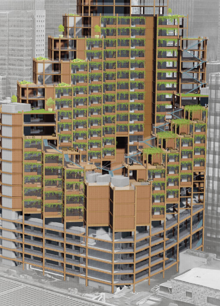 Vertical Living Enhanced by Cross-Laminated Timber and Biophilic Elements