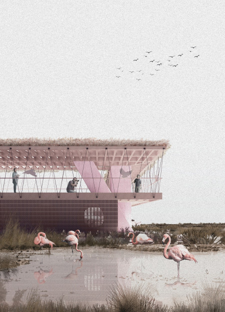 Biophilic Center With Palm Frond Roofing and Concrete Framework Overlooking Wetlands