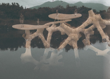 Bionic Structures of Geopolymer Concrete Supporting Floating Wetlands for Enhanced Ecosystem Integration