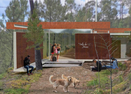 Wellness retreat featuring cross-laminated timber panels and charred wooden shingles in a forest setting  