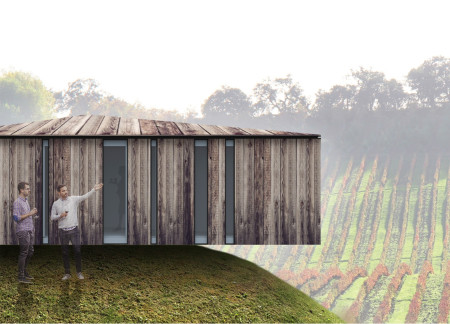 Curved Facades and Oak Wood Integration in a Sustainable Wine Tasting Space