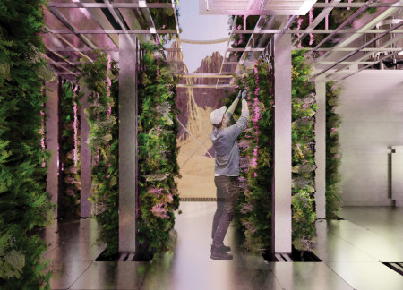 Vertical Farming Integrated With Polycarbonate Walls to Promote Sustainable Living