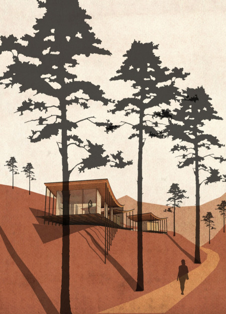 Curvilinear Design Emphasizing Larch and Schist for a Tranquil Wellness Retreat