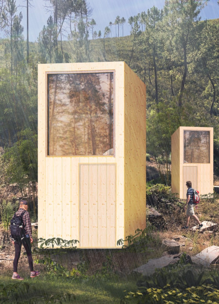 Hinoki Wood Retreat Embracing Natural Light Within a Tranquil Forest Setting