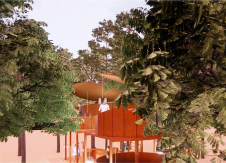 Cross-Laminated Timber Pavilion Embracing Mature Trees for Community Gathering