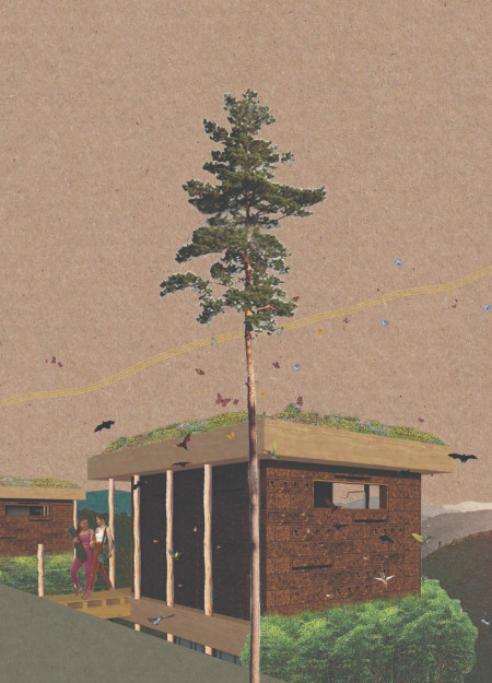 Cork-Insulated Retreat with Living Roof and Eucalyptus Structure