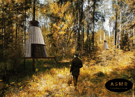 Cocooning Ash Cabins With Central Skylights in a Forest Retreat  