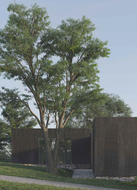 Harmonious Living Among Wooden Panels and Natural Terraces  