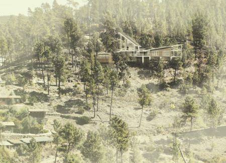 Helophyte-Driven Greywater System in A Sustainable Yoga Retreat