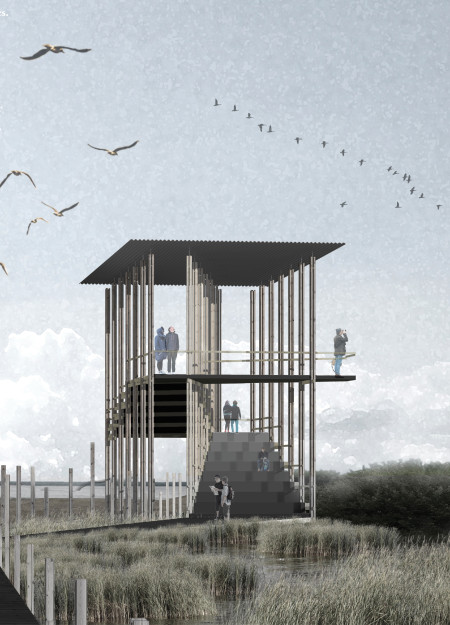 Glulam Framework Elevates Pathway Through Wetlands