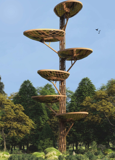 Elevated Canopy Spaces in a Forest Cemetery Reflecting Nature’s Cycles  