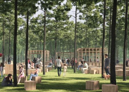 Timber Structures Enhancing Outdoor Dining Amidst Forest Surroundings