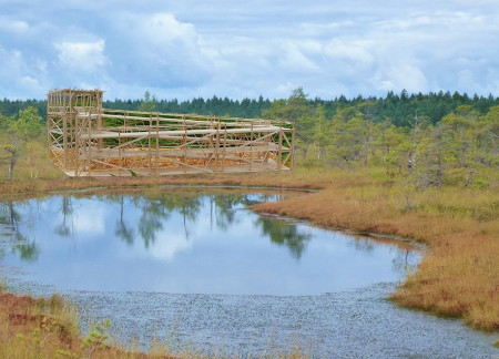 Helical Timber Structure Elevating Access in Ecological Wetland Design