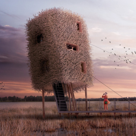 Natural Twigs and Timber Posts Shaping a Bird Observation Experience  