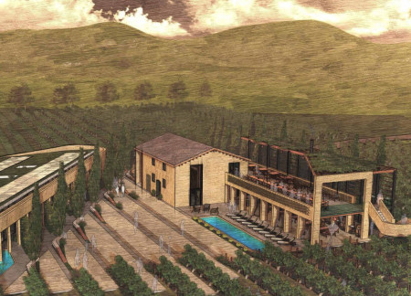 Feature Wall and Green Roof in a Community-Focused Winery