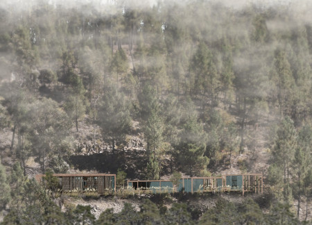 Perforated MDF Panels Enhancing Light Play in a Natural Timber Wellness Center  