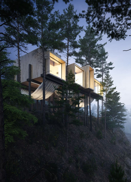 Elevated Structure Among Trees With Multi-Zoning Spaces