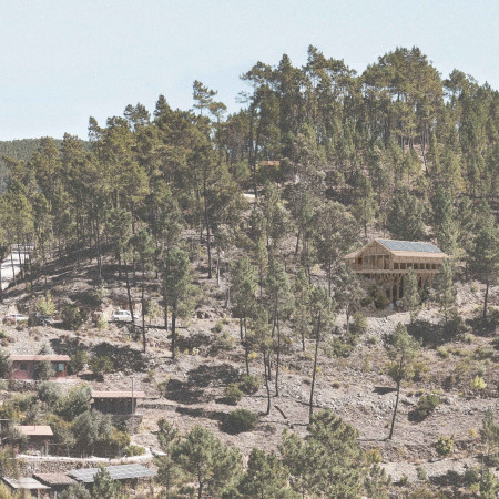 Timber Structure Enhanced by Piled Foundations and Natural Light for Yoga Retreat  