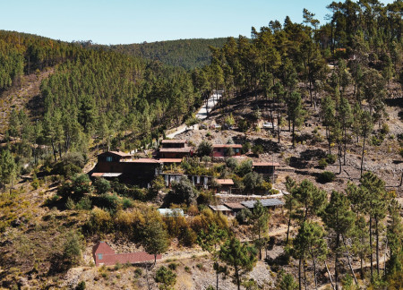 Eucalyptus Cabins with Whitewashed Walls Offering Tranquil Retreats  