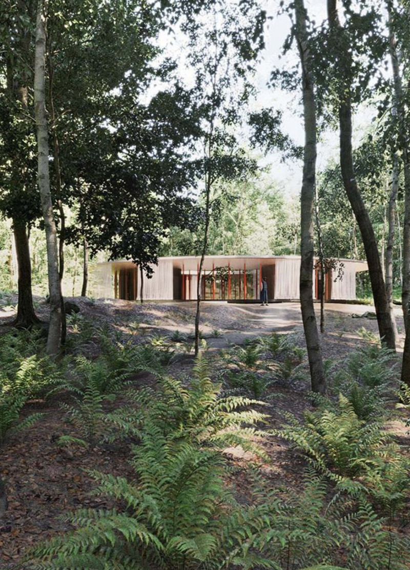 Cross-Laminated Timber and Transparent Design Elevating Wellness Retreat Amidst Nature