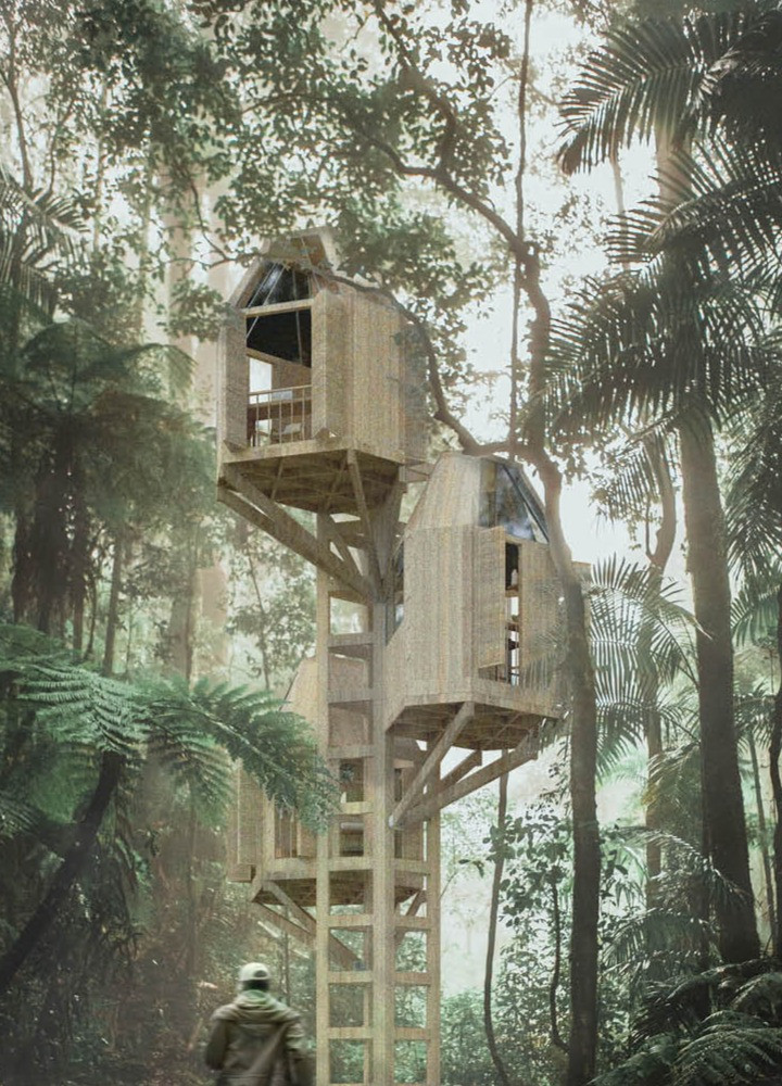 Elevated Residence Crafted From Cross-Laminated Timber With Rainwater Harvesting Integration