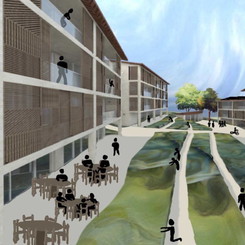 Cross-Laminated Timber Construction Enhanced by Charred Wooden Shingles for Community Living