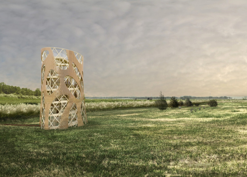 Cross-Laminated Timber Structure Integrating Biophilic Design and Sustainable Practices