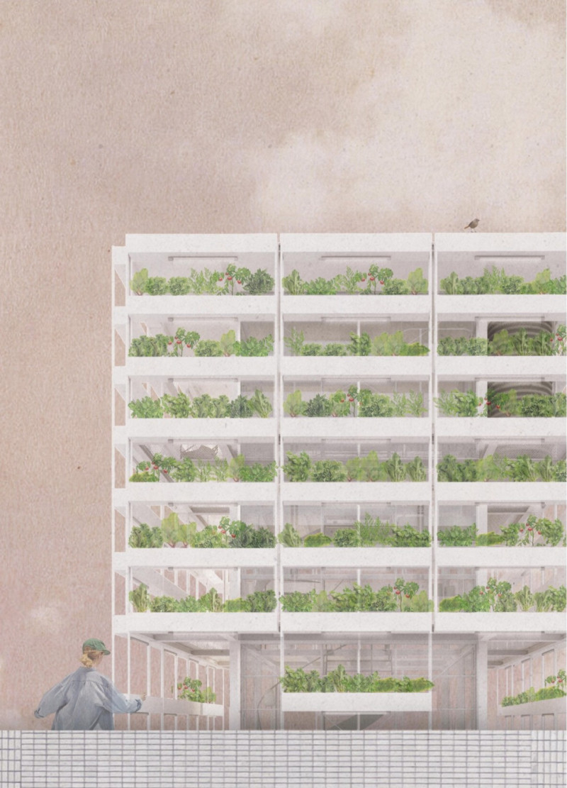 Charred Wooden Shingles and Cross-Laminated Timber Elevate Sustainable Community Spaces
