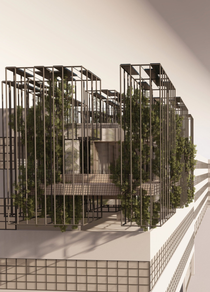Charred Wood Facades and Cross-Laminated Timber Panels Define Sustainable Urban Living