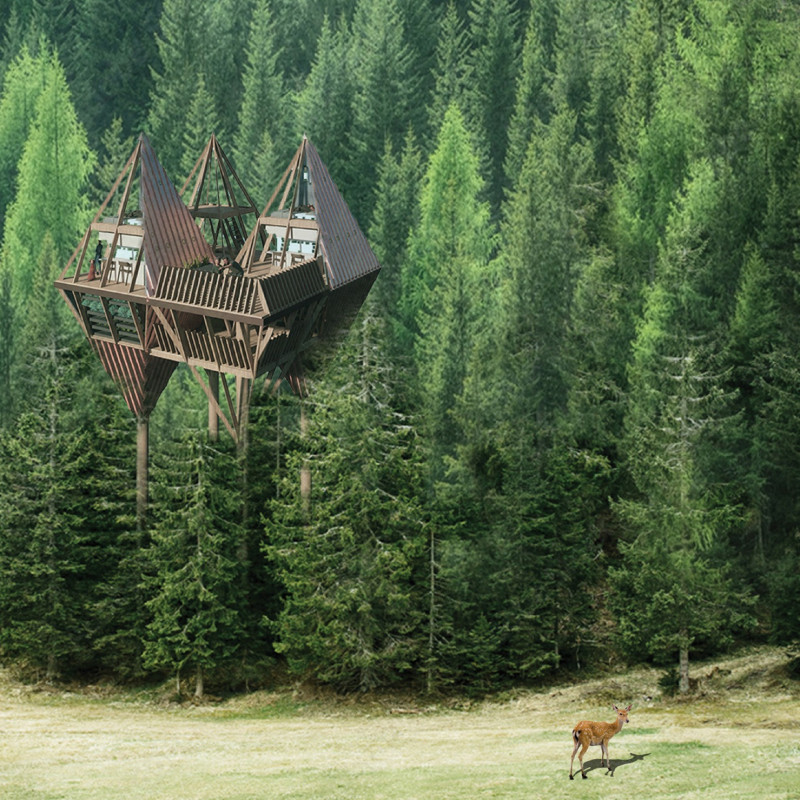 Biomimetic Design Featuring Angular Forms and Charred Wooden Shingles for Elevated Living  