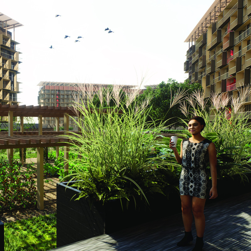 Charred Wooden Shingles and Green Roof Integration in a Multi-Functional Community Space