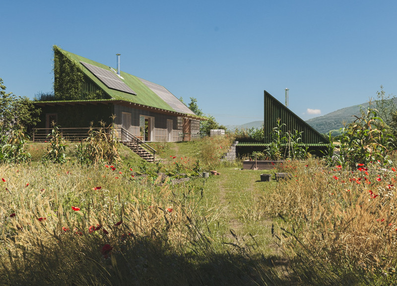 Charred Wooden Shingles and Cross-Laminated Timber Define a Multifunctional Community Hub  