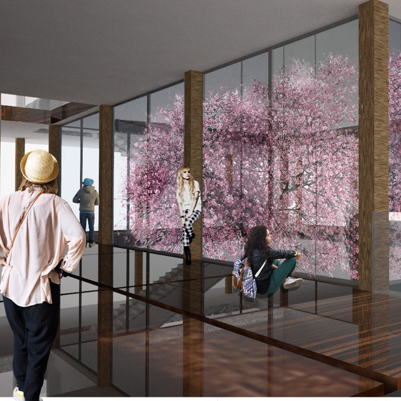 Metamaterials and Transparent Facades Enriching Cultural Engagement Through Sustainable Design