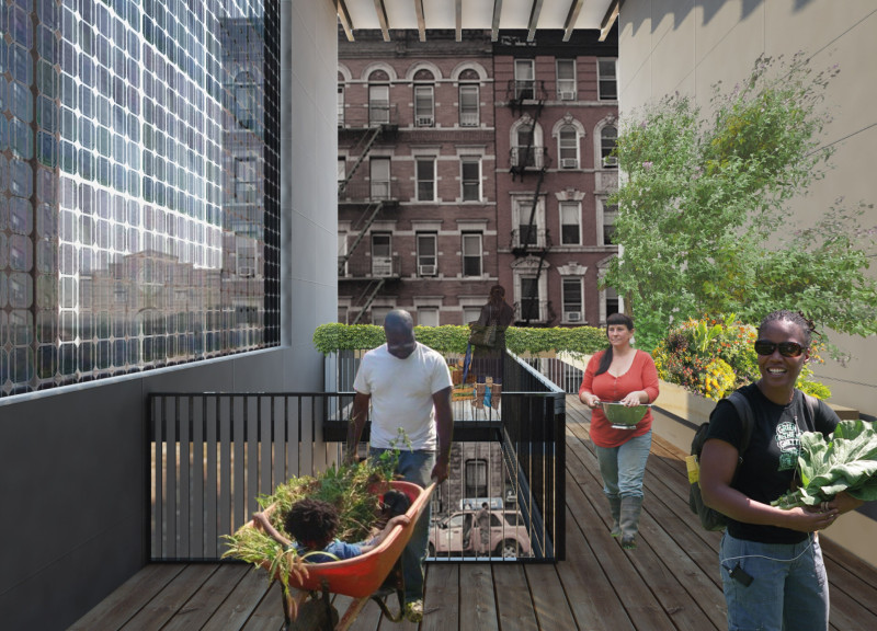 Cross-Laminated Timber Panels and Charred Shingles Shaping Multifunctional Urban Farming Spaces  