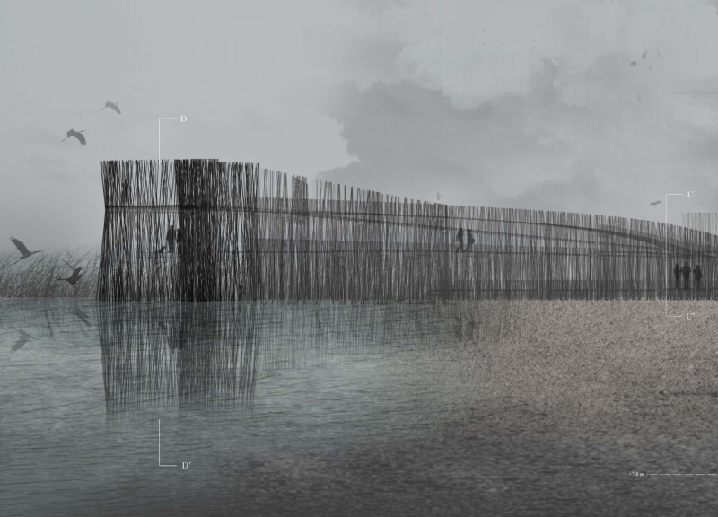Charred Wood Shingles and Elevated Pathways Enhancing Wildlife Observation in Wetland Ecosystem