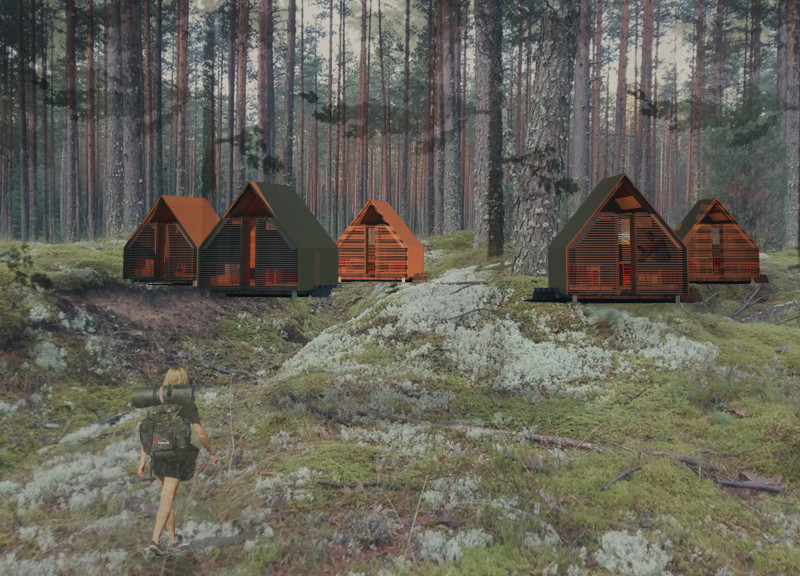 Charred Shingle Cabins Embracing Natural Wood Textures in A Forest Retreat