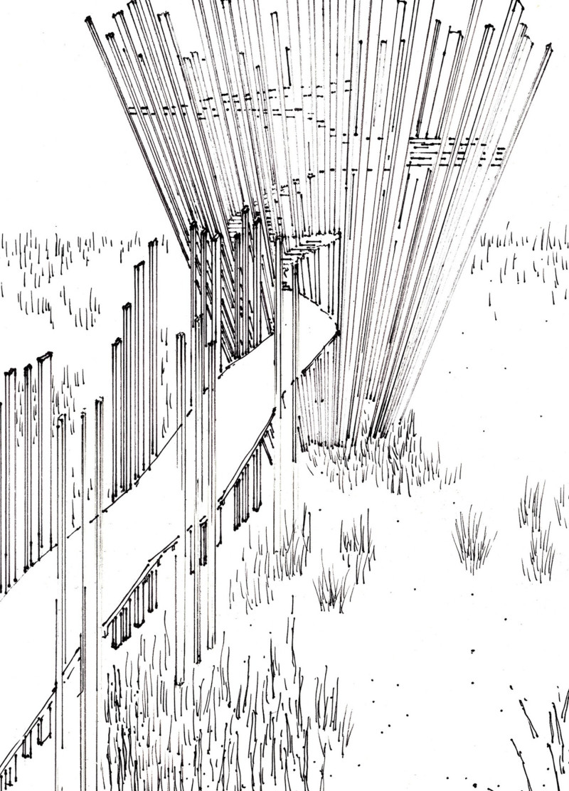 Asymmetrical Ramp in Charred Timber Enhances Birdwatching Experience Within Natural Habitat