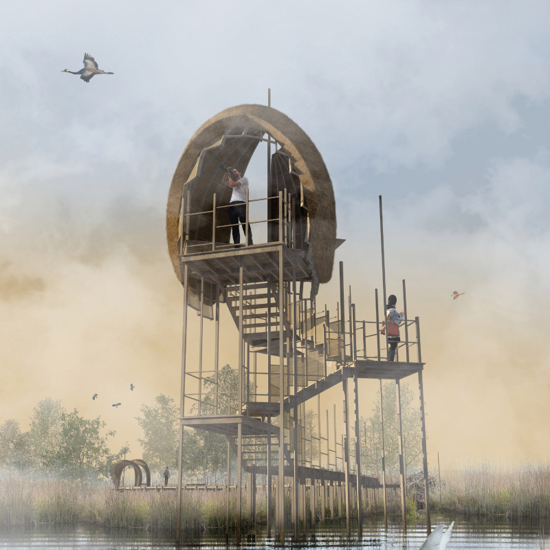 Thatch-Clad Pavilions With Cross-Laminated Timber Provide Immersive Birdwatching Experience  