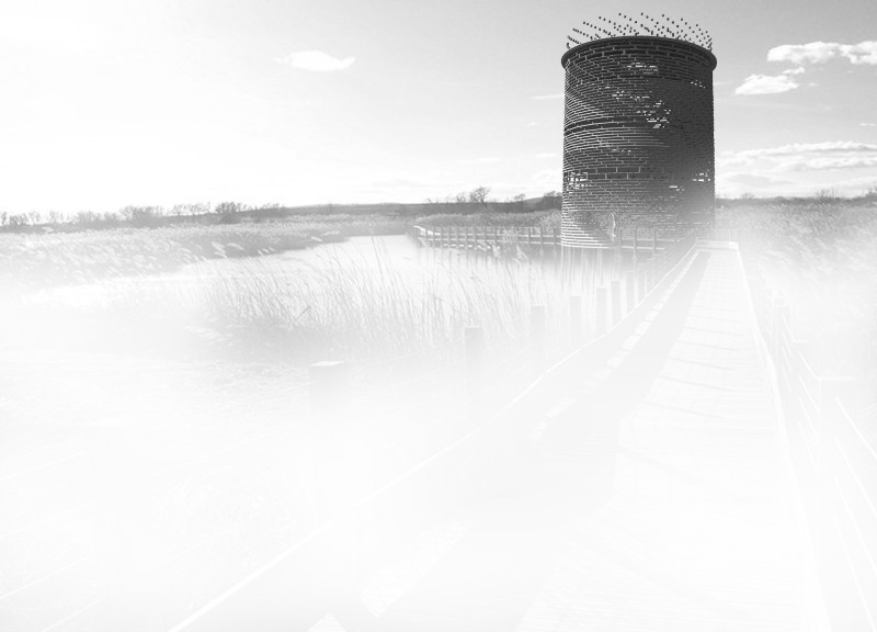 Cylindrical Structure Crafted from Sustainable Wood and Glass for Nature Observation