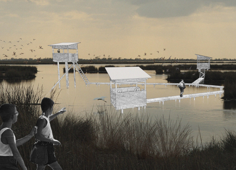 Charred Wooden Shingles and Transparent Views in a Lakeside Bird Observation Structure  