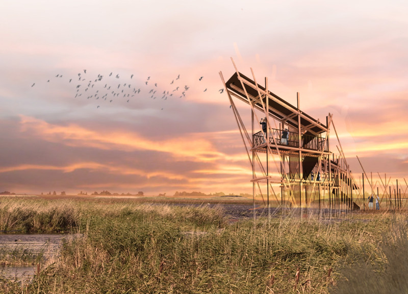 Elevated Walkway Constructed From Natural Wood and Glass for Bird Observation