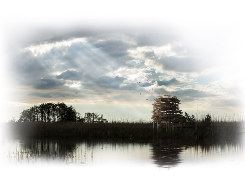 Charred Wooden Shingles and Timber Pillars Shaping Elevated Birdwatching Spaces