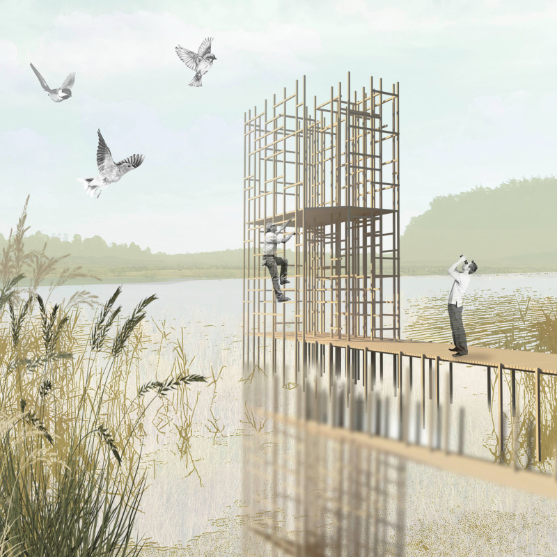 Reclaimed Timber Framework Elevating Wildlife Observation in Sustainable Wetland Design  