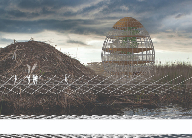 Hollow Core Structure Crafted from Natural Timber in a Sustainable Observation Tower  