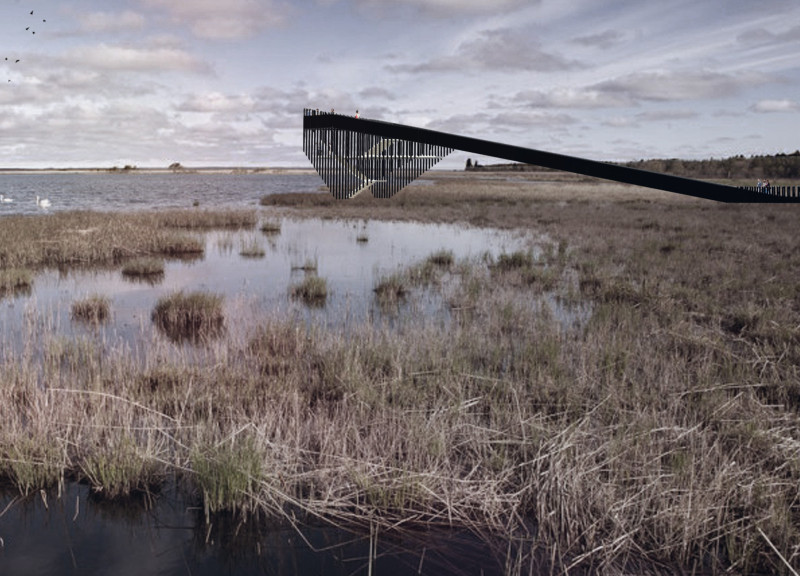 Birdwatching Promenade Featuring Charred Wood and Laminated Timber Construction