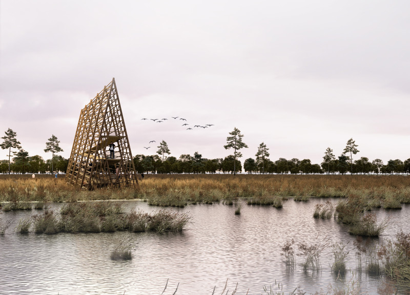 Observation platform featuring cross-laminated timber and charred wooden shingles in a natural wetland setting  