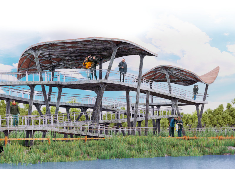 Elevated Observation Platform Crafted from Corten Steel and Sustainable Timber within Wetland Context  